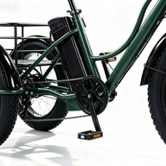 Daibot 750W 48V 24Inch Electric Trike Adult 7Speed Removable Battery Fat Tire