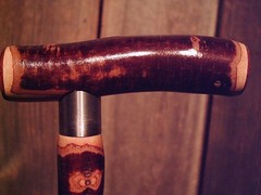 walking stick T handle NATURAL GROWN birch for average sized hands MADE IN USA