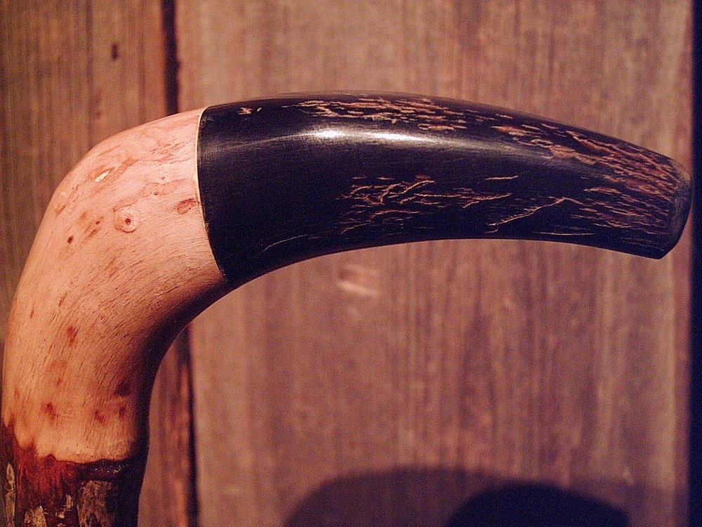 walking stick BLACK WATER BUFFALO handle for smaller sized hands MADE IN THE USA
