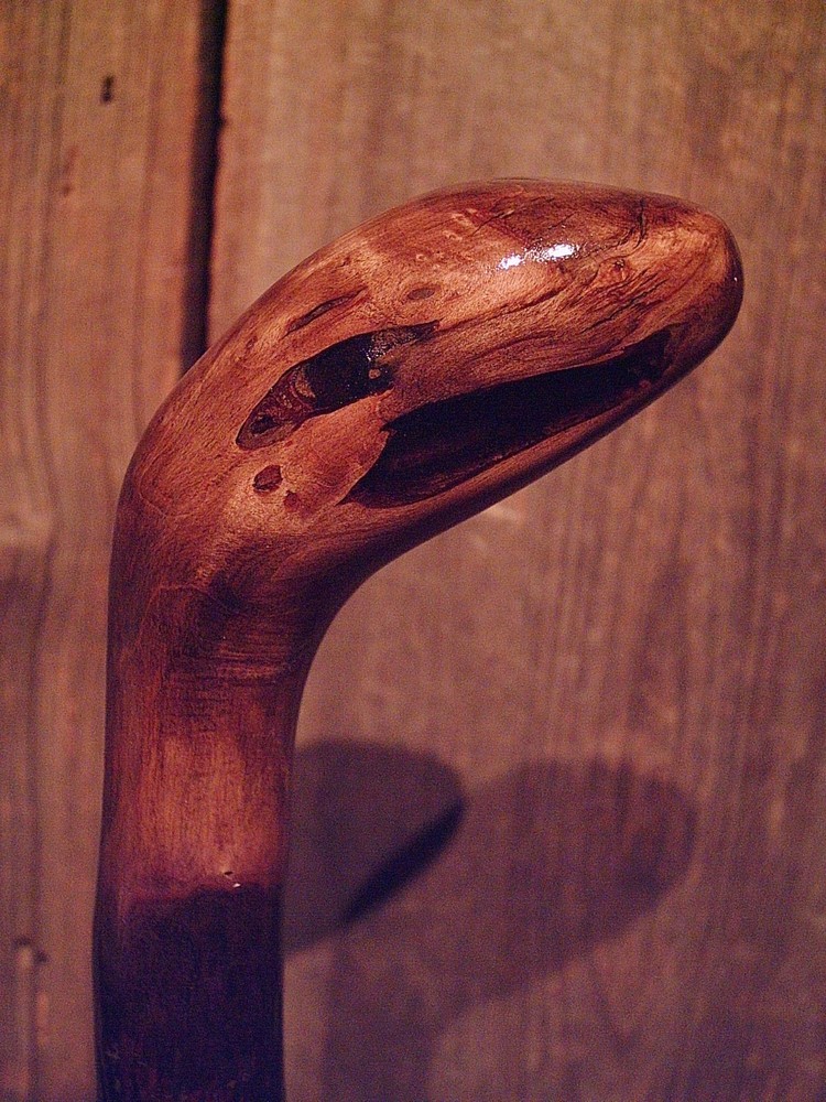 walking stick natural grown ROOT KNOB HANDLE for AVERAGE sized hands MADE IN USA