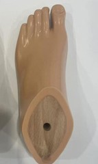 Prosthetic SACH Foot Beige/Brown | Size 12–30 | Left/Right | Universal Fit