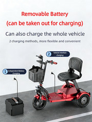 Folding Electric Mobility Scooter 1000W 48V 3 Wheel Electric Scooter Dual Motor