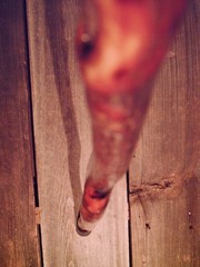walking stick natural grown ROOT KNOB HANDLE for GOOD sized hands MADE IN USA