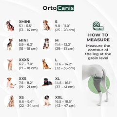 Orthopedic Dog Knee Brace for Hind Leg – Eases Discomfort & Enhances Mobility