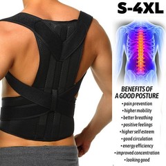 Waist Support Belt for Work Heavy Duty Lift Lumbar Lower Back Brace Suspenders