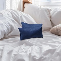 Marrywindix Tiny Pillow 2 Pack Small Decorative 9.5 x 5.5 inches, Blue