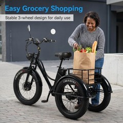 Daibot 24Inch 750W 48V Fat Tire E Trike Adult 7Speed 65km Removable Battery