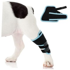 Dog Leg Brace Medium, M（Leg Length 5.5in，Upper Leg Circ 6.7in） Blue