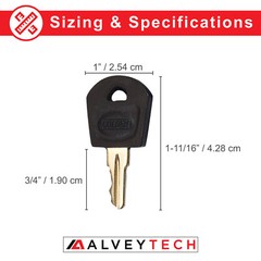 Key For Golden Technologies Buzzaround, Companion, LiteRider Mobility Scooter