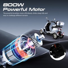 4 Wheel Mobility Scooter for Adult 800W Electric HeavyDuty Scooter 500lbs Silver