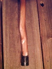 walking stick cane Antler handle MAPLE wood shaft very stiff CUSTOM MADE IN USA
