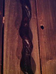 brass HAME handle walking stick cane vine spiraled shaft custom made in the USA
