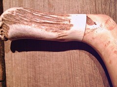 walking stick cane Antler handle MAPLE wood shaft very stiff CUSTOM MADE IN USA