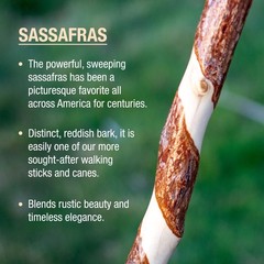Brazos Rustic Wood