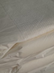 1 single sample XP5000 Beyond Overnight Plastic backed adult diaper