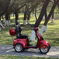 Four-Wheels Travel Mobility Scooter 800W 60V 20AH battery Motor for Adult Senior