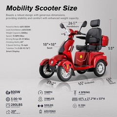 4 Wheels Travel Mobility Scooter 800W 60V 20AH Battery Motor for Adult Senior