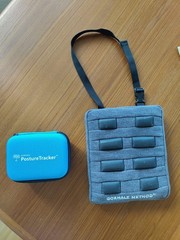 Gokhale Method Stretchsit Cushion