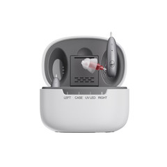 Ceretone Beacon Silver OTC Receiver-In-Canal Hearing Aids – Clear Music & Calls