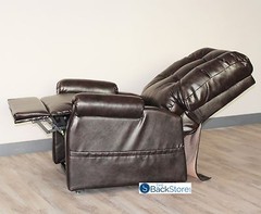 New ChestNut Vinyl Easy Comfort FC-201 Power Electric Lift Chair Motion Recliner