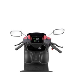 1000W 4-Wheel Heavy Duty Adjustable 2-Seat Electric Power Mobility Scooters