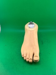 Ottobock Otto bock 1G6 sach prosthetic foot. Right. Size 26. Max weight 165