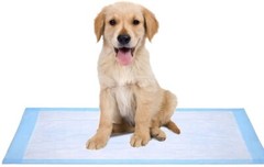 Disposable Underpad 30″ x 36″ Waterproof Adults, Kids and Pets(2Packs of 15ct)
