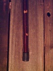 walking stick T handle NATURAL GROWN birch for average sized hands MADE IN USA