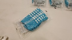 Pillow Paws 1096 # 1096-001 Terries Slipper Adult Teal Socks (Set of 4)