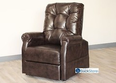 New ChestNut Vinyl Easy Comfort FC-201 Power Electric Lift Chair Motion Recliner
