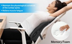SeatBack Lumbar Support Cushion for Home Office Car Chair Pillow Memory Foam Gel