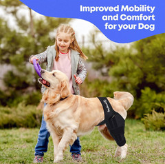 Dog Knee Brace for Torn ACL Pain Relief Support for Front or Hind Leg Large