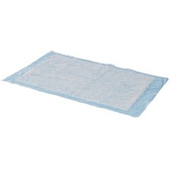 Cardinal Health Underpads Wings Basic 23″ x 24″ PK of 10