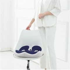 Orthopedic Memory Foam Seat Cushion for Tailbone, Sciatica, Prostate & Back Pain