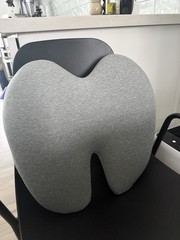 Cushion Lab Extra Dense Lumbar Pillow Memory Foam Back Pain Relief – No Box