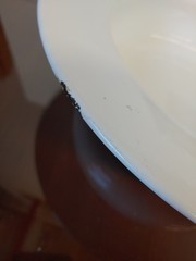 Vintage White Enamel Metal Round Bed Pan with Lid