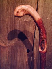 walking stick natural grown ROOT KNOB HANDLE for GOOD sized hands MADE IN USA