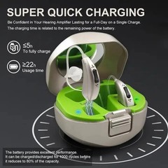 Bluetooth Connectivity, Comes with a Portable Charging Case, Hearing Aids
