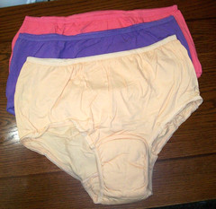 NEW SEA CARE PLUS 2X LOT 3 MULTI COTTON PAD INCONTINENCE UNDERWEAR PANTIES BRIEF