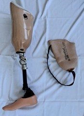 Truelife WillowWood Alpha Classic Prosthetic Right Leg w/Flex Knee 26R