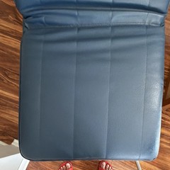 PEMF PulseChair Cushion Pad w/ Hose & Connector. No chair included Used 2x.