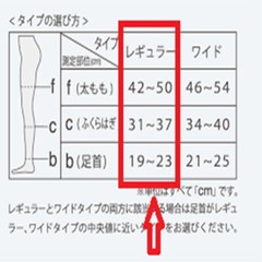 Tabio Elastic stockings Thin pressure hard type tightens leg sock