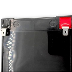 Interstate DSL1104 12V 15Ah AGM Mobile Scooter Battery Upgrade Pride, Golden