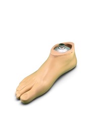 OTTOBOCK Otto Bock 1D35 sach Prosthetic Foot. Size 26. Right Foot.