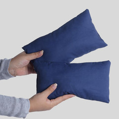Tiny Pillow 2 Pack Small Decorative Pillow 9.5 X 5.5 in Travel Pillows Soft Pet