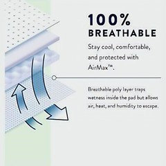 Prevail Daily Unisex Incontinence Underwear, Extra Absorbency, Small, 88 count