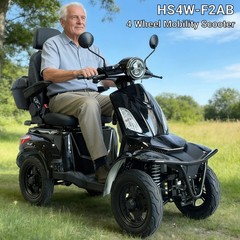 1000W Heavy Duty 4-Wheel Mobility Scooter 24.84 Miles 3 Speed 500lbs Load Black
