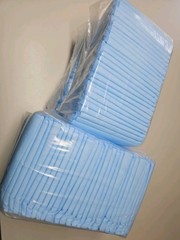 Disposable Underpads Unbranded Waterproof Bed Pad 100 Ct Absorbent Adults Pets