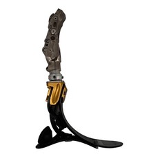 Soleus prosthetic foot Pneumatic Knee