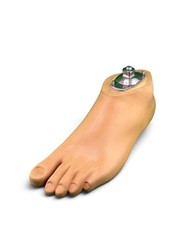 OTTOBOCK Otto Bock 1WR95 Water Prosthetic Foot. Size 27. Left Foot. Excellent